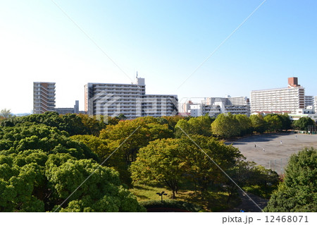 品川八潮パークタウン9 12468071