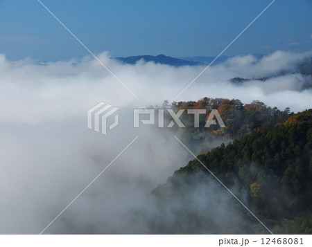 雲海に浮かぶ紅葉の備中松山城 12468081