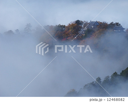 雲海に浮かぶ紅葉の備中松山城 12468082