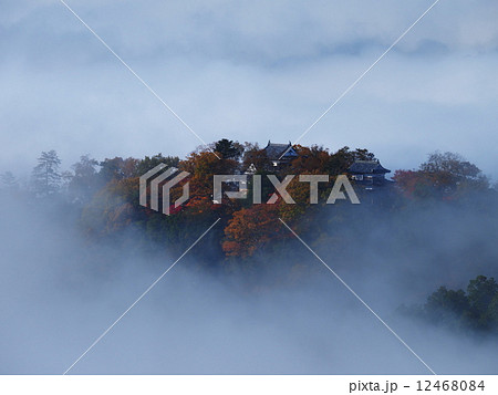 雲海に浮かぶ紅葉の備中松山城 12468084
