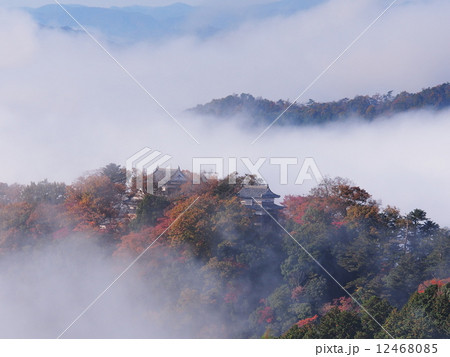雲海に浮かぶ紅葉の備中松山城 12468085