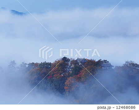 雲海に浮かぶ紅葉の備中松山城 12468086