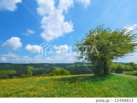 Country road Country road 12468813