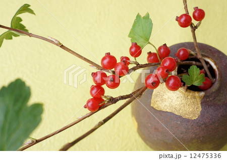 ヤブサンザシの実を生ける 12475336