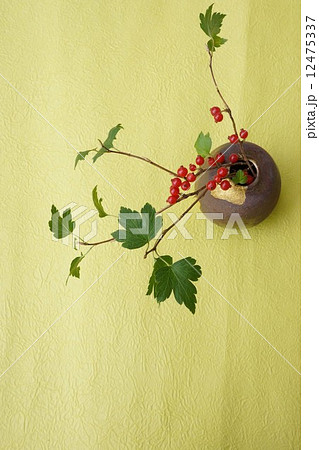 ヤブサンザシの実を生ける 12475337