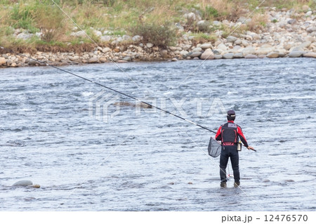 鮎の友釣り 鮎の友釣り 12476570