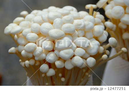 エノキタケ 12477251