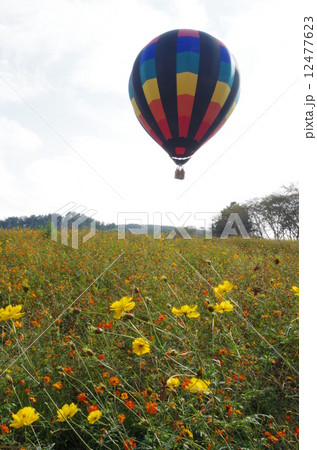 気球と花畑 12477623