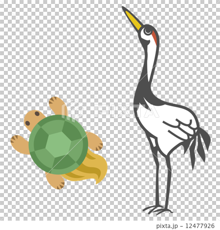 鶴亀のイラスト素材