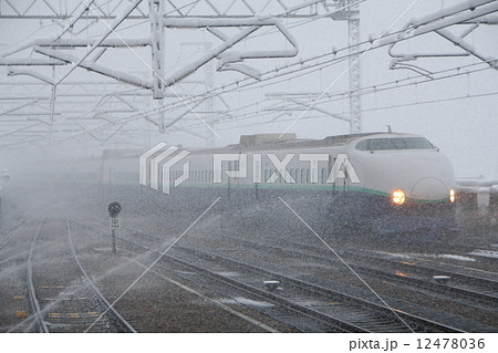 雪舞う上越新幹線200系 12478036