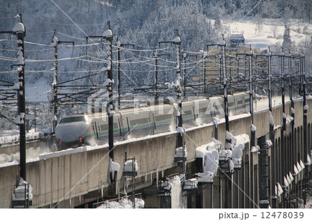 雪国を行く上越新幹線200系 12478039
