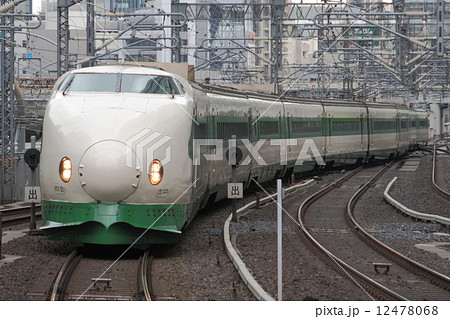 東北・上越新幹線200系(原色緑帯) 東北・上越新幹線200系(原色緑帯) 12478068