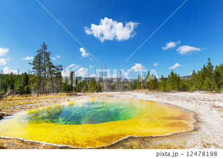 Morning Glory Pool Morning Glory Pool 12478198