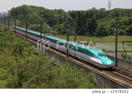 東北新幹線E5系(はやぶさ号) 東北新幹線E5系(はやぶさ号) 12478302