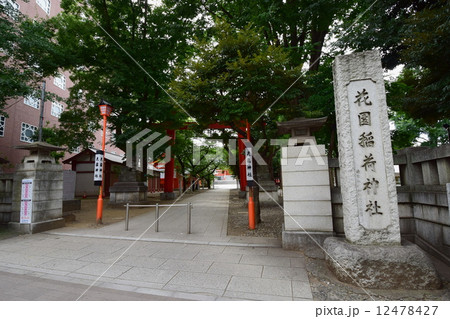 新宿総鎮守 花園神社 大鳥居 ( 東京都 新宿区 新宿 ) 新宿総鎮守 花園神社 大鳥居 ( 東京都 新宿区 新宿 ) 12478427