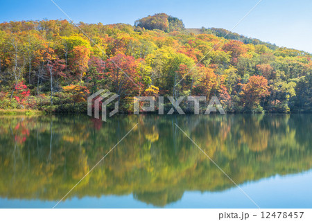 高原の紅葉・水面の映り込み 12478457