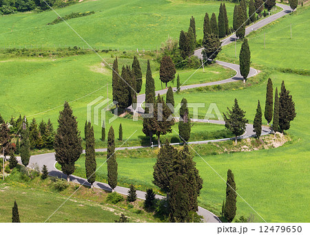 Typical Italian countryroad in Tuscany Typical Italian countryroad in Tuscany 12479650