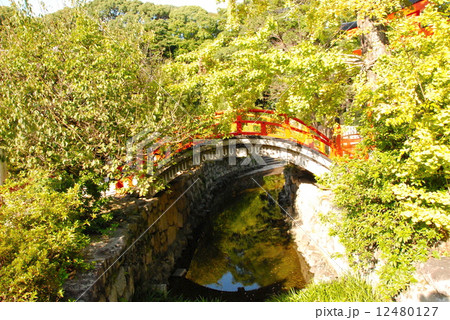 下鴨神社(賀茂御祖神社)の「御手洗川」・「輪橋(そりはし)」(京都市左京区下鴨泉川町) 下鴨神社(賀茂御祖神社)の「御手洗川」・「輪橋(そりはし)」(京都市左京区下鴨泉川町) 12480127