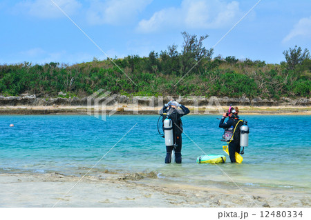 ダイビング講習 12480334