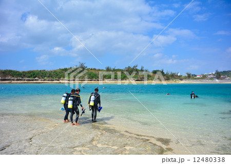 ダイビング講習 12480338