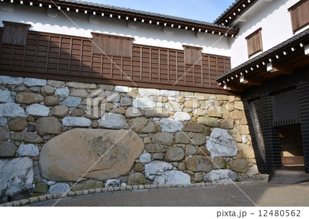 初秋の今治城 12480562