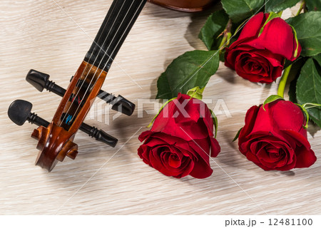 Violin, rose and music books 12481100