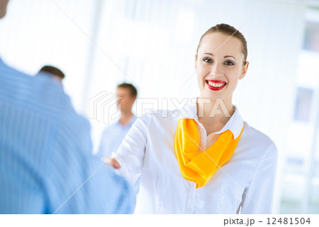 business woman shaking hands with a client 12481504