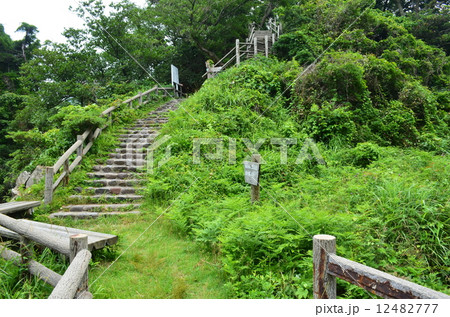 浦富海岸自然探勝路 水尻洞門前 浦富海岸自然探勝路 水尻洞門前 12482777