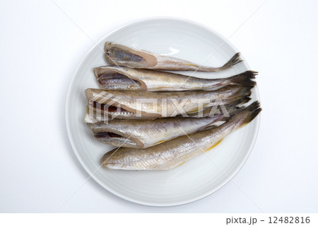 コマイの丸干し 12482816