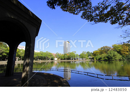 多摩中央公園 多摩中央公園 12483050