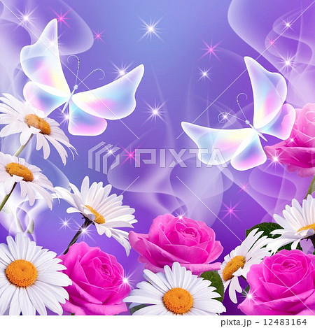 Flowers and  butterflies 12483164