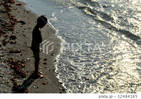 夏の終わり 12484165