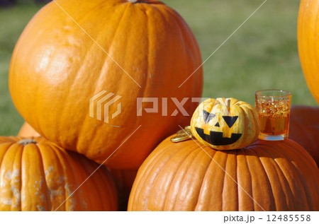 草原にハロウィンのかぼちゃ 草原にハロウィンのかぼちゃ 12485558