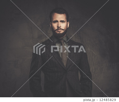 Handsome well-dressed man in jacket 12485829