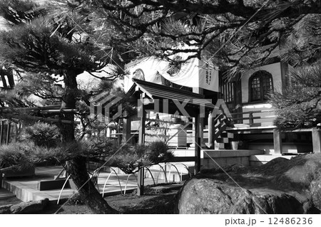 静かに願う 静かに願う 12486236