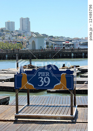 サンフランシスコ_ピア39 12486796
