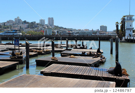 サンフランシスコ_ピア39 12486797