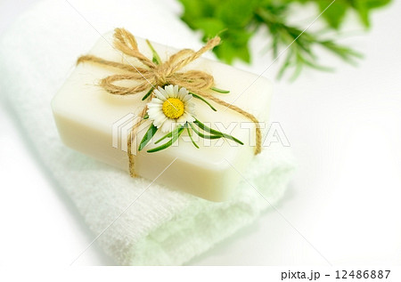 石鹸 石鹸 12486887