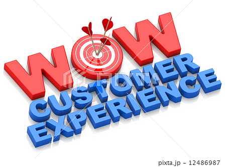 wow customer experience 12486987