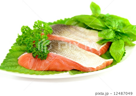 魚料理 12487049