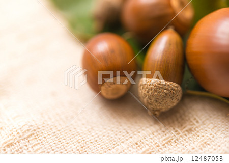 どんぐり　葉　集合　秋 12487053