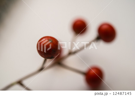 赤い木の実 12487145