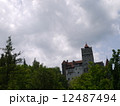 ドラキュラ城 12487494