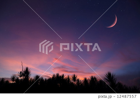 夕焼けと三日月 夕焼けと三日月 12487557