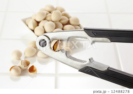 銀杏 銀杏 12488278