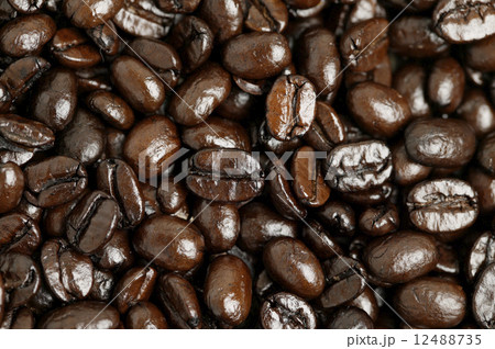 コーヒー豆 コーヒー豆 12488735