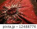 REd fabric 12488776