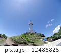 御神崎の灯台 12488825