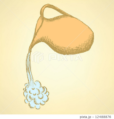 Sketch pitcher in vintage style 12488876