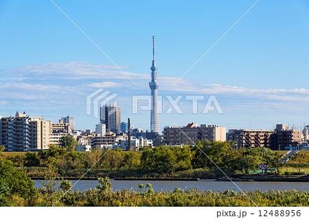 台風一過の川の手住宅街と東京スカイツリー 台風一過の川の手住宅街と東京スカイツリー 12488956